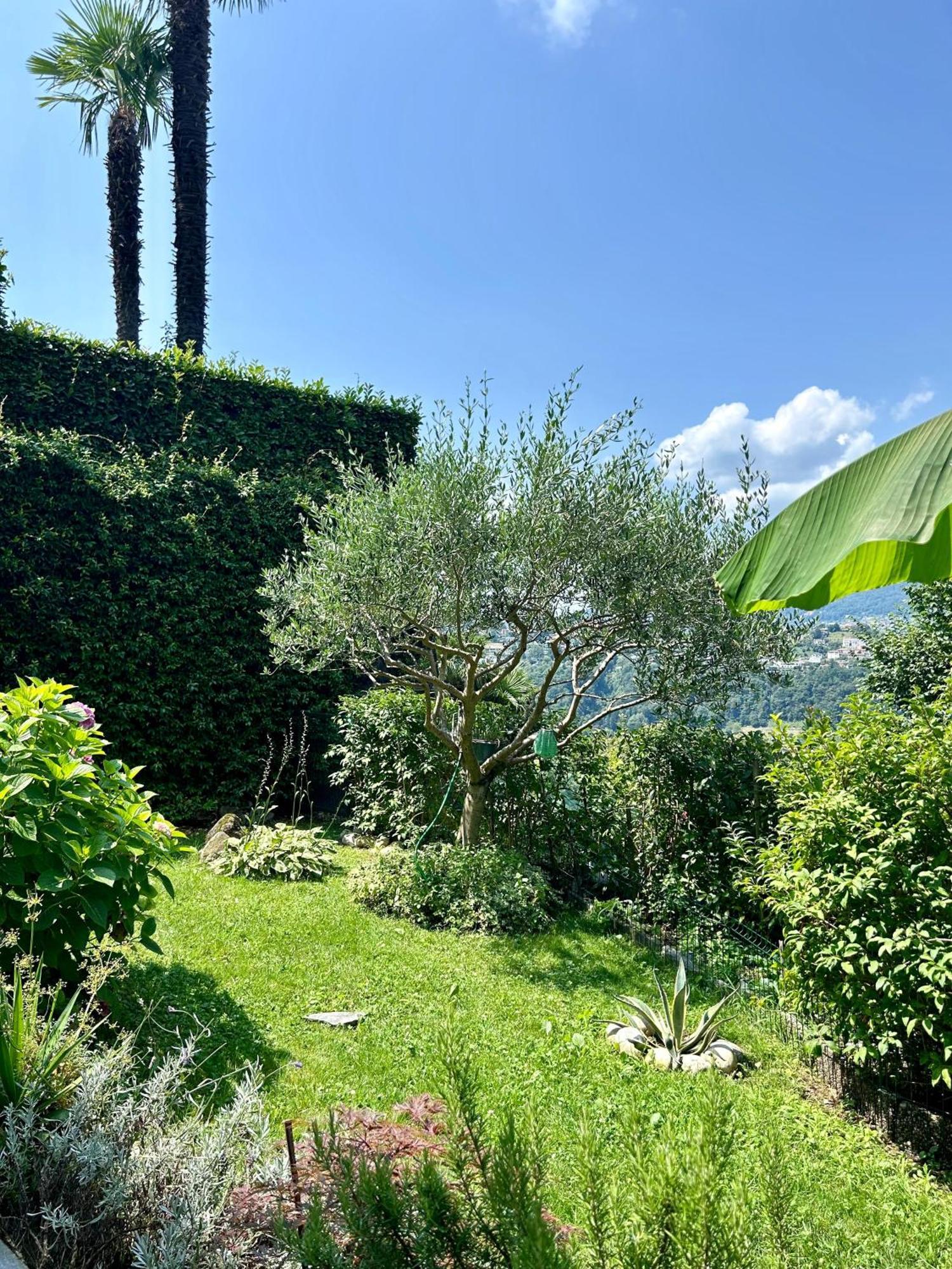 I Vallata Paradise I Free Parking - Garden&View - 10Minutes From Lugano Exterior photo