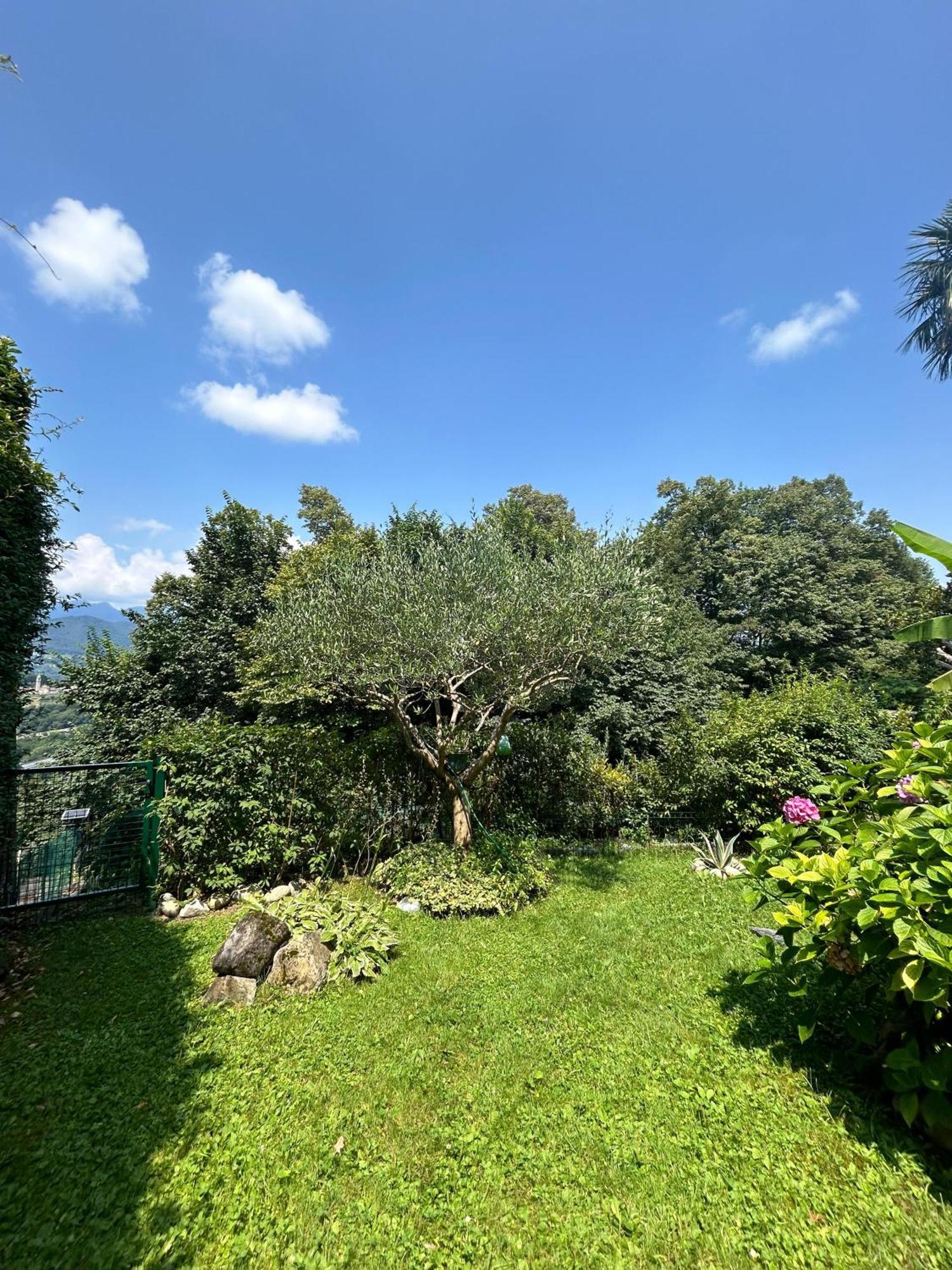 I Vallata Paradise I Free Parking - Garden&View - 10Minutes From Lugano Exterior photo